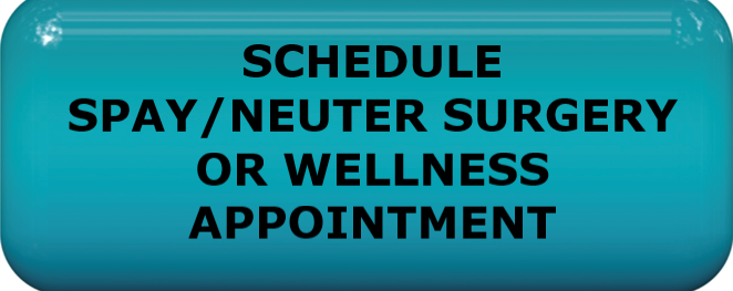 SCHEDULE SPAY NEUTER OR WELLNESS NEW BUTTON BOLD